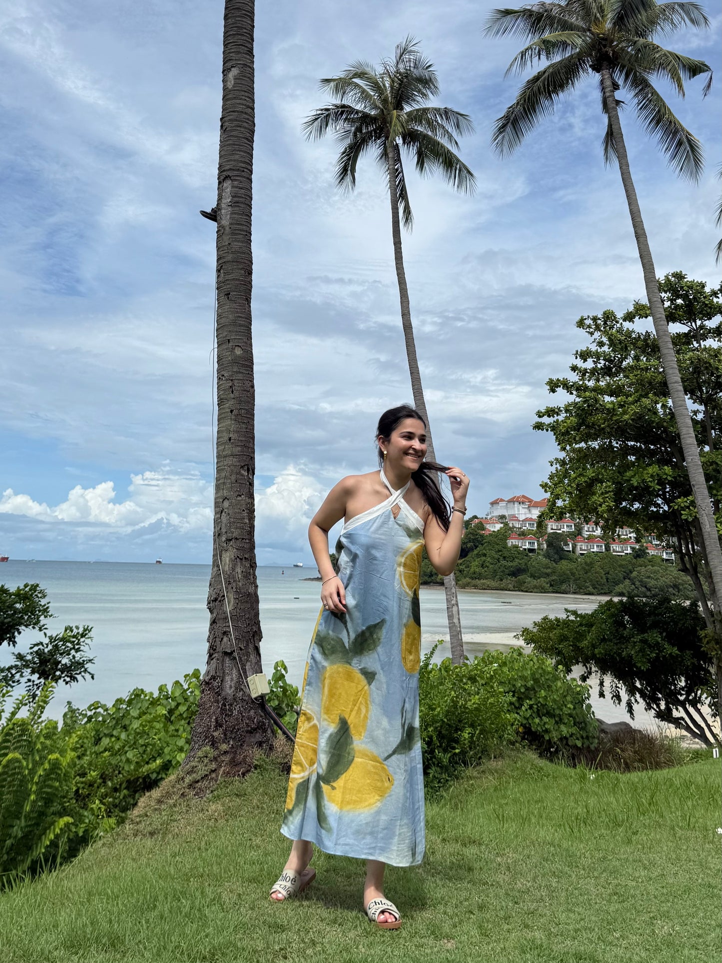 Celia dress in Limoncello print