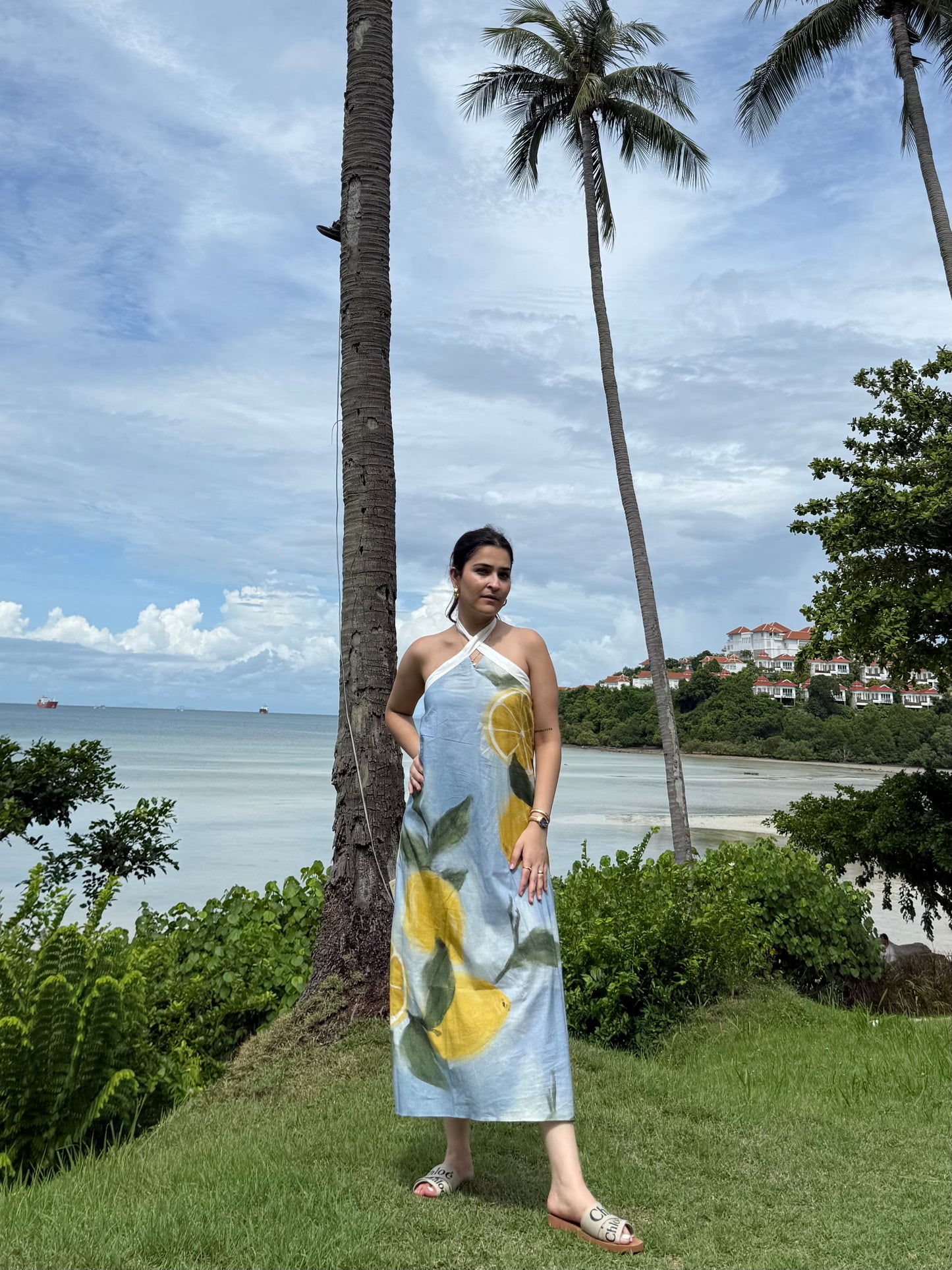 Celia dress in Limoncello print