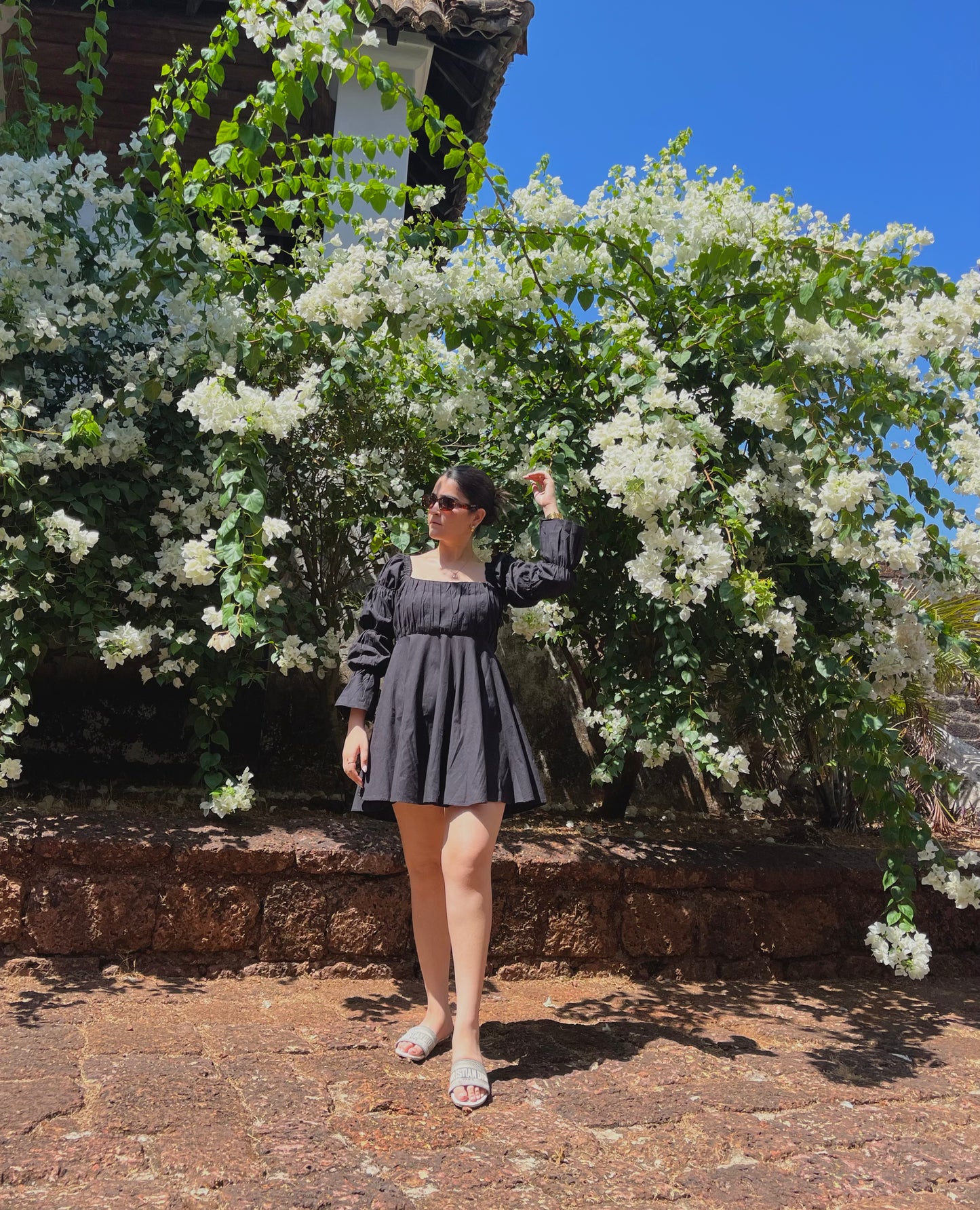 Daisy - Midnight Black