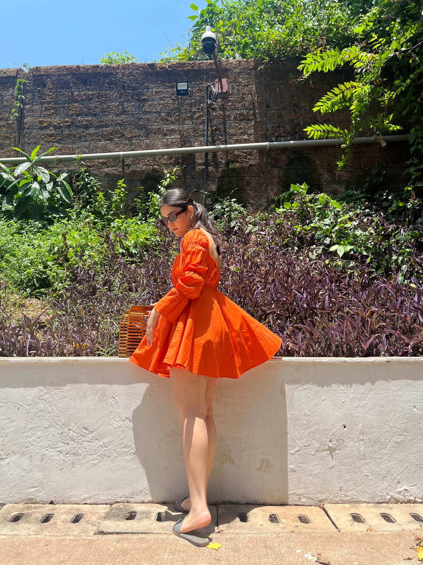 Daisy - Tangerine