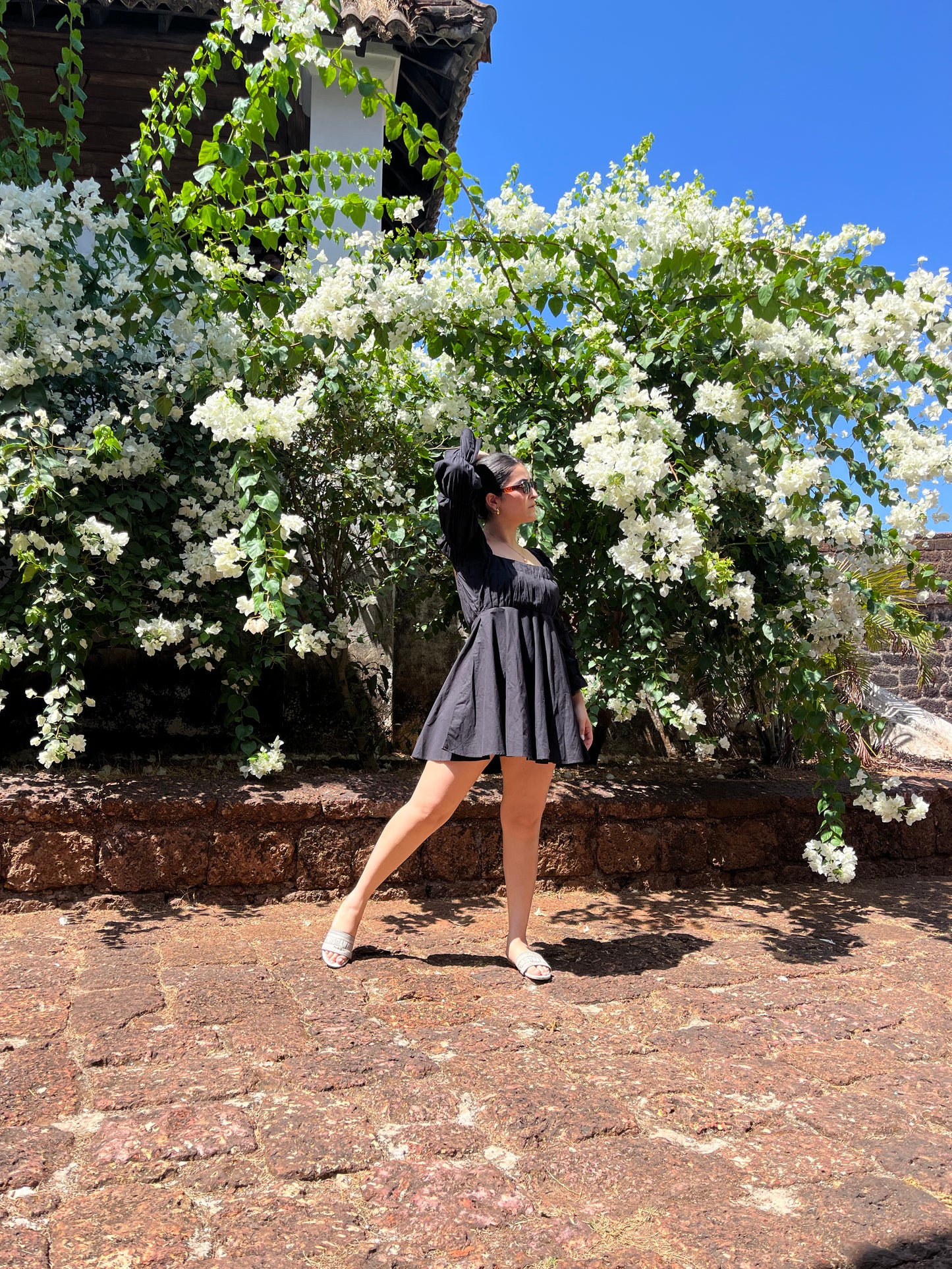 Daisy - Midnight Black