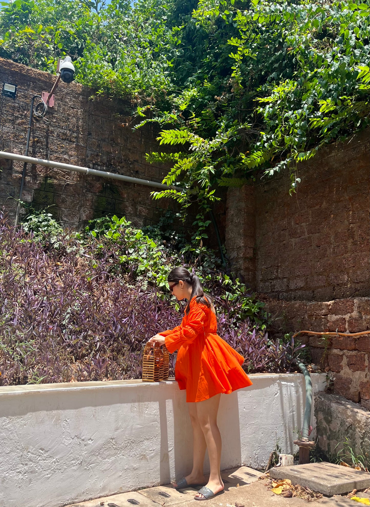 Daisy - Tangerine