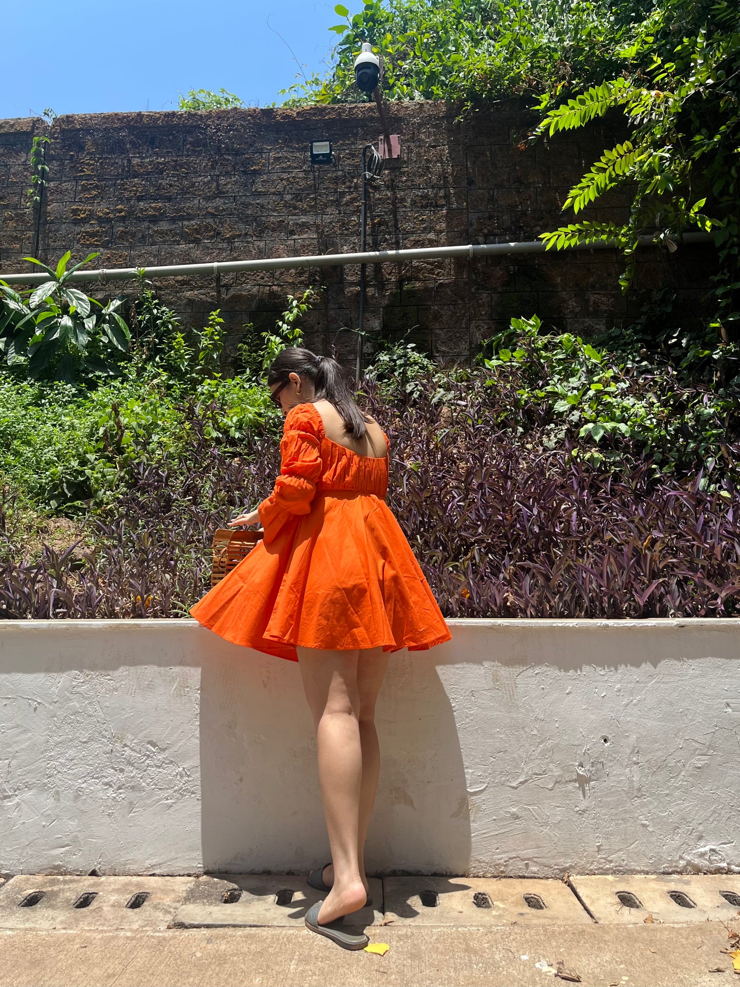 Daisy - Tangerine