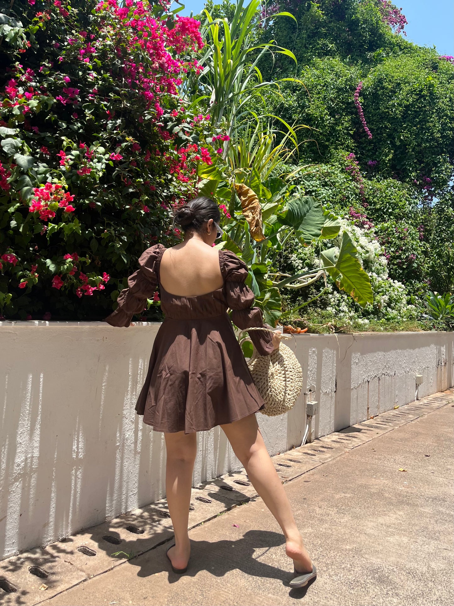 Daisy - Chestnut Brown