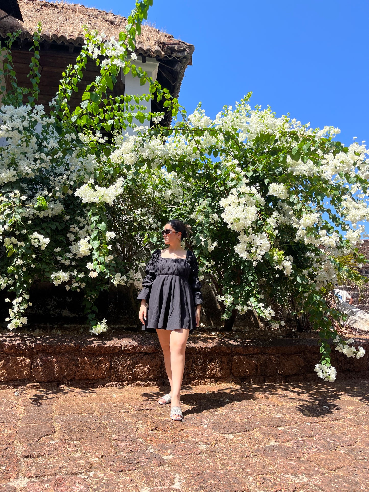Daisy - Midnight Black