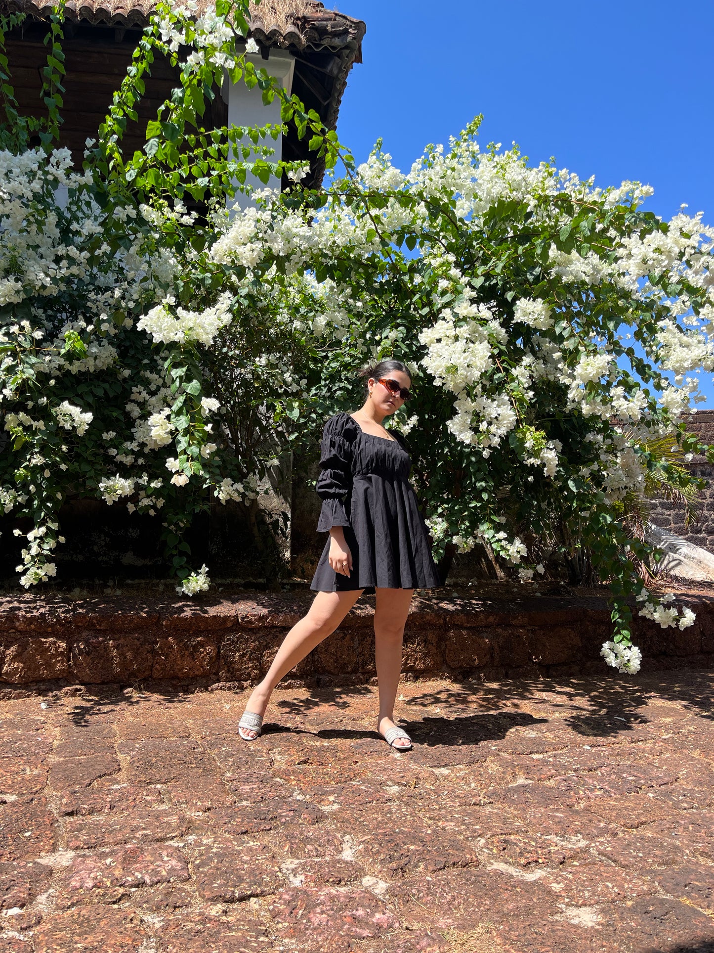 Daisy - Midnight Black