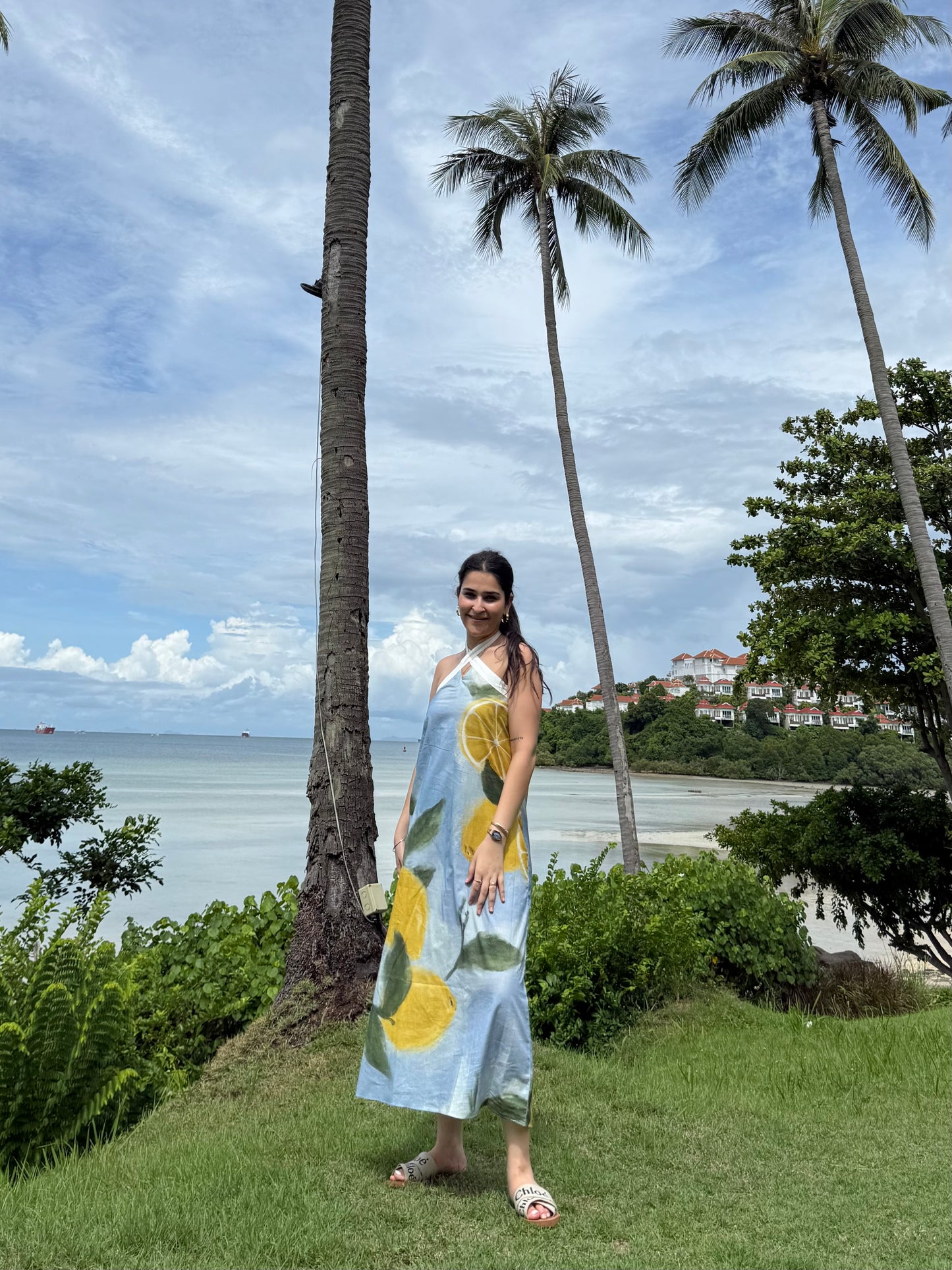 Celia dress in Limoncello print