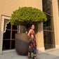 Arina Dress