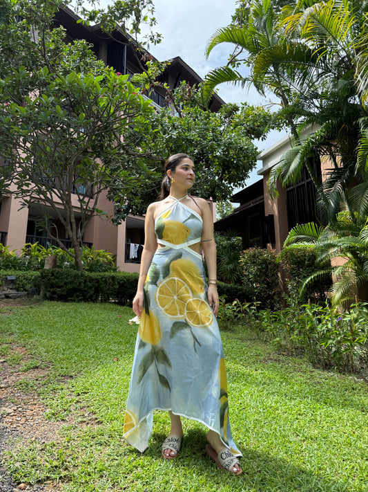 Aaleyah Dress in Limoncello print