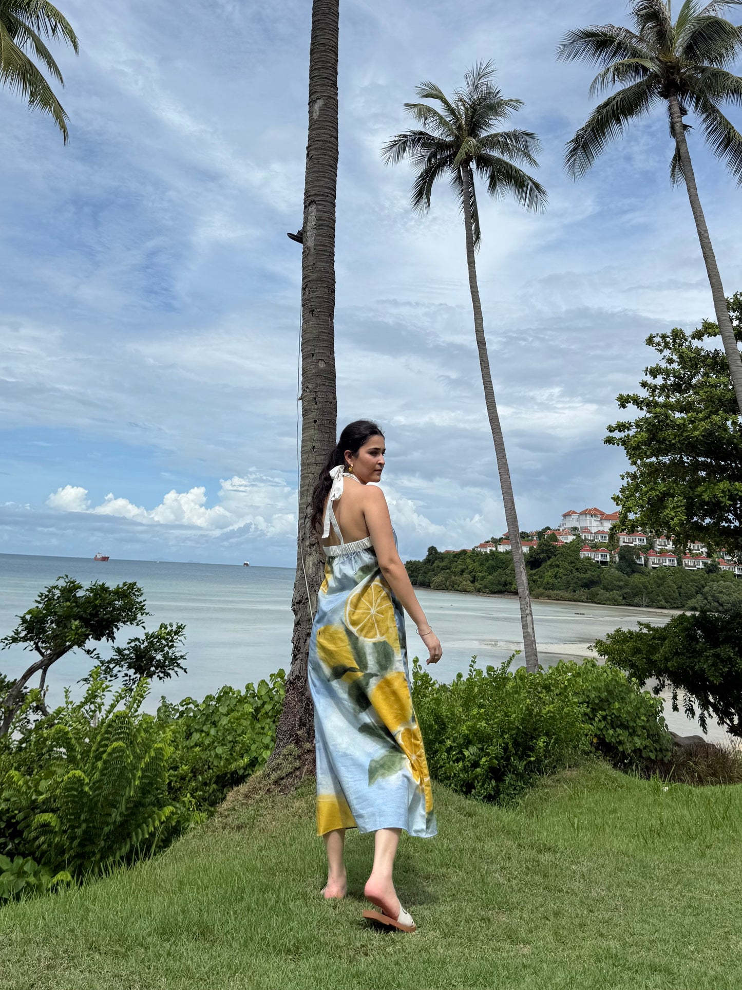 Celia dress in Limoncello print