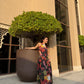 Arina Dress