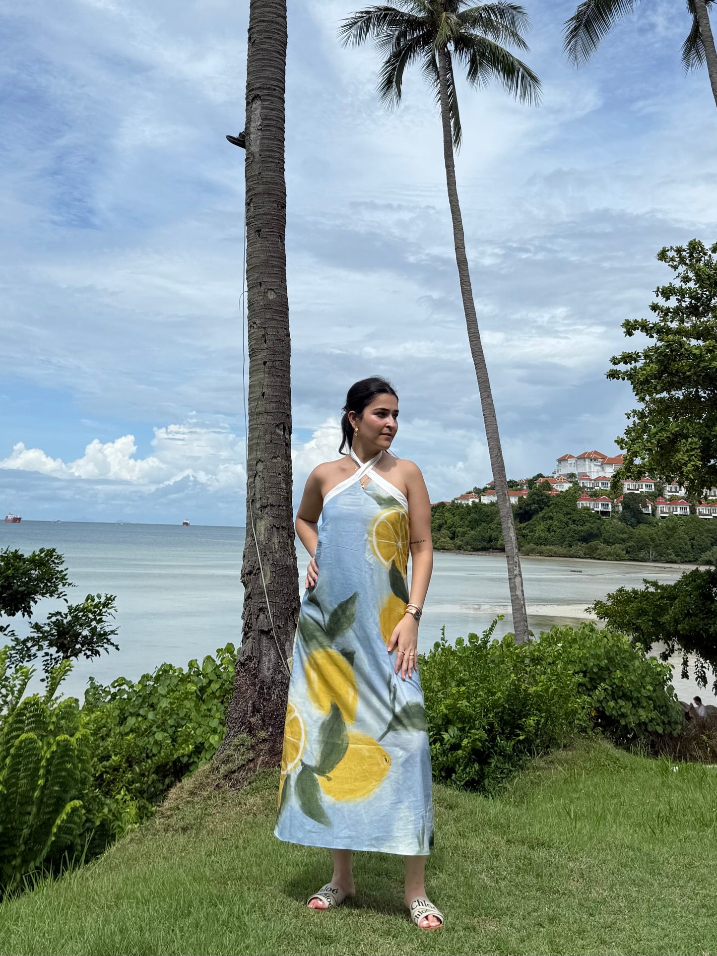 Celia dress in Limoncello print