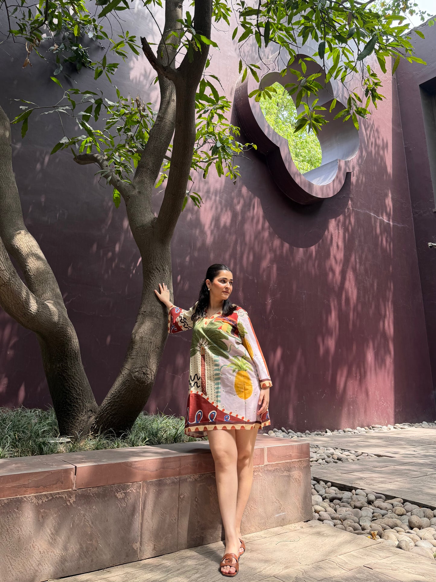 Elena Dress in Encanto print